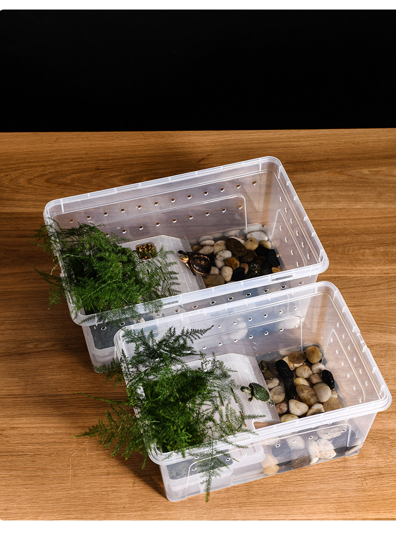 角蛙饲养盒专用两栖蟹饲养箱乌龟饲养盒蝎子蜈蚣带晒台爬宠饲养盒