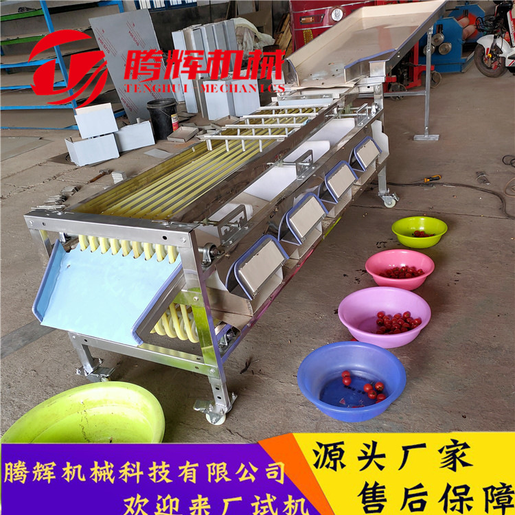千禧圣女果分级机规格齐全红果选果机海南圣女果分选机