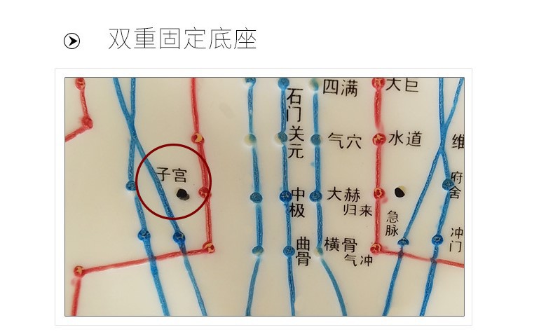 人体穴位模型针灸按摩中医教学人体模型小人经络模型男女