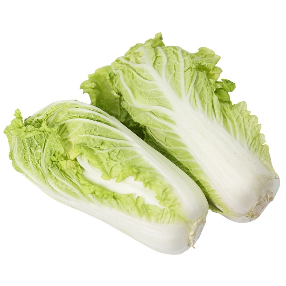 蔬菜类新鲜蔬菜白菜娃娃菜青菜新鲜蔬菜时令蔬菜5斤包邮