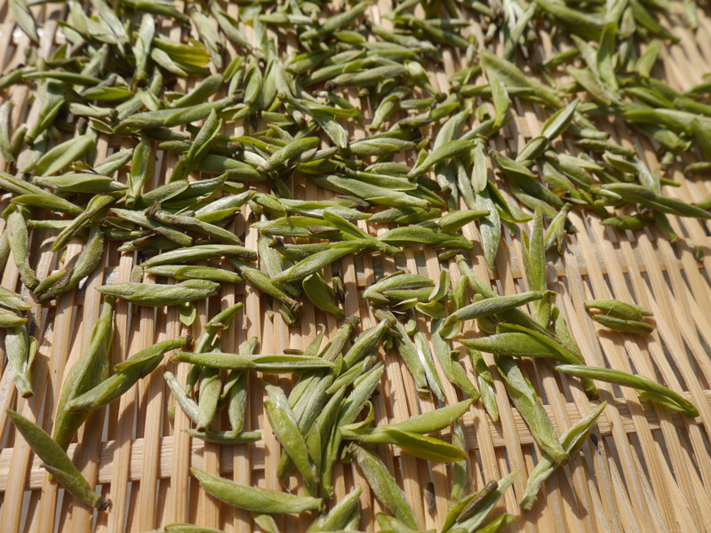 2020新茶福鼎白茶荒野老古树白毫银针 木质香250克批发优惠