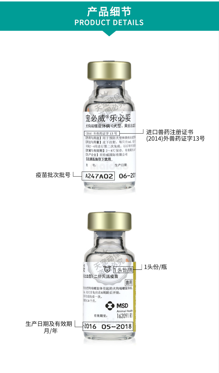 英特威宠必威乐必妥犬型黄疸出血性钩端螺旋体宠物狗狗疫苗默沙东