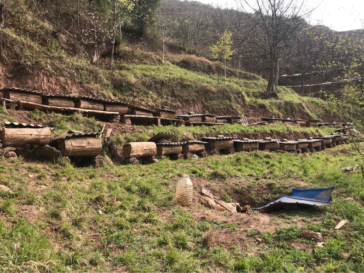 2020年陇味达深山中华蜂养殖基地产的老巢百花土蜂蜜2斤瓶装 包邮