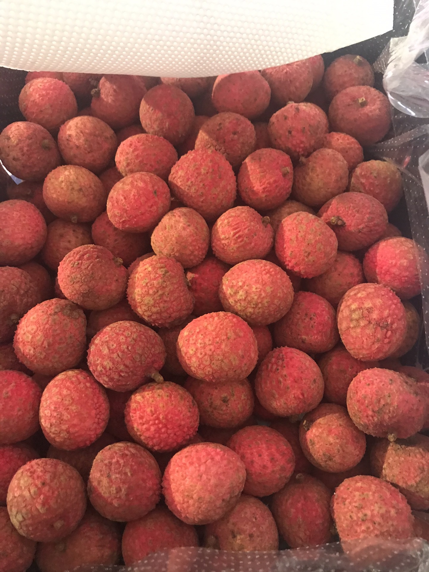 西瓜产业网 西瓜供应 枝妃子笑桂味荔枝空运荔枝 品种 圆枝 等级 特级