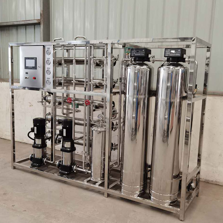 食品行业纯净水设备饮用水过滤器 0.5吨双级反渗透设备ro反渗透