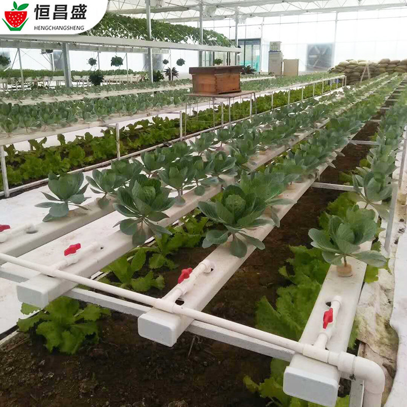温室大棚无土栽培种植槽 水培立体式叶菜方管种植槽 水培种植槽