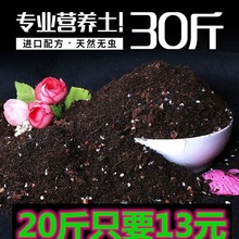 土壤种树绣球绿箩花土家用多肉营养土养花通用型花盆栽30斤装专用