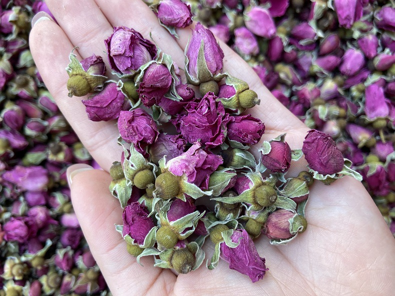 优质兰州苦水玫瑰玫瑰花茶甘肃兰州苦水小玫瑰 现货