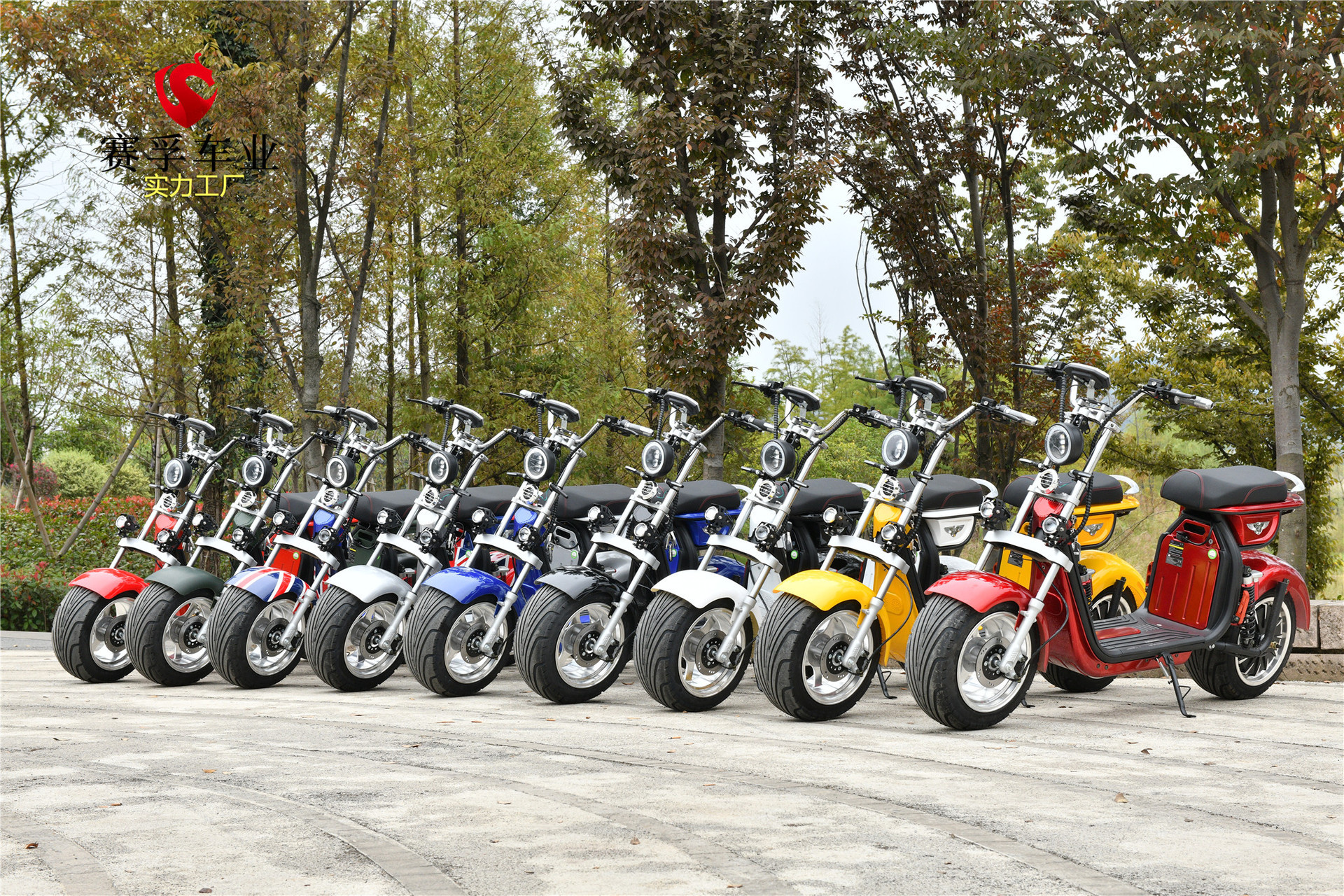 2020新款成人哈雷电动自行车 前后减震宽胎大轮电瓶车一件代发