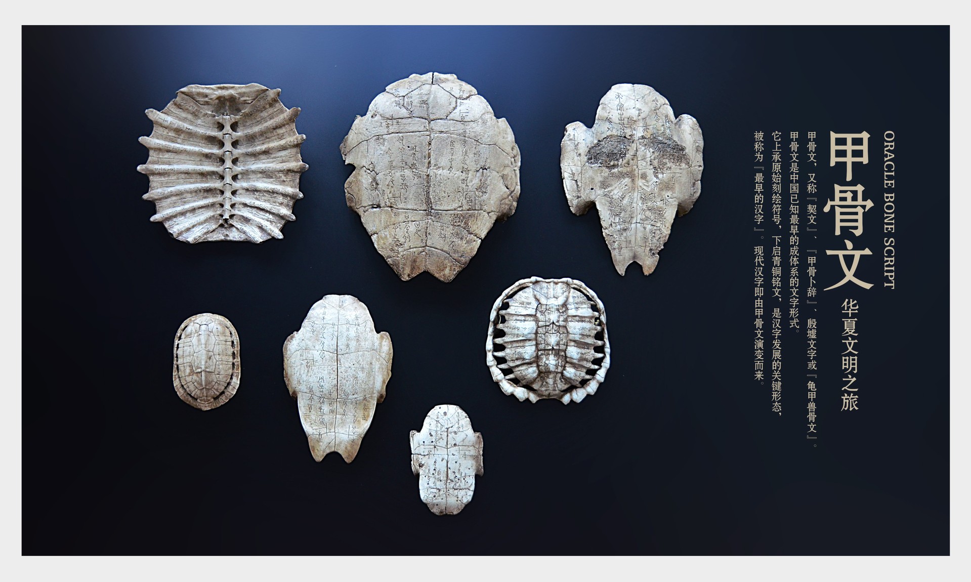 古玩收藏仿古做旧骨雕精美甲骨文龟壳文摆件工艺品骨头树脂摆件