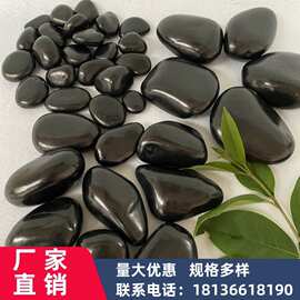 黑色抛光鹅卵石 亮光雨花石 工程铺路园林景观水沟造景 按斤