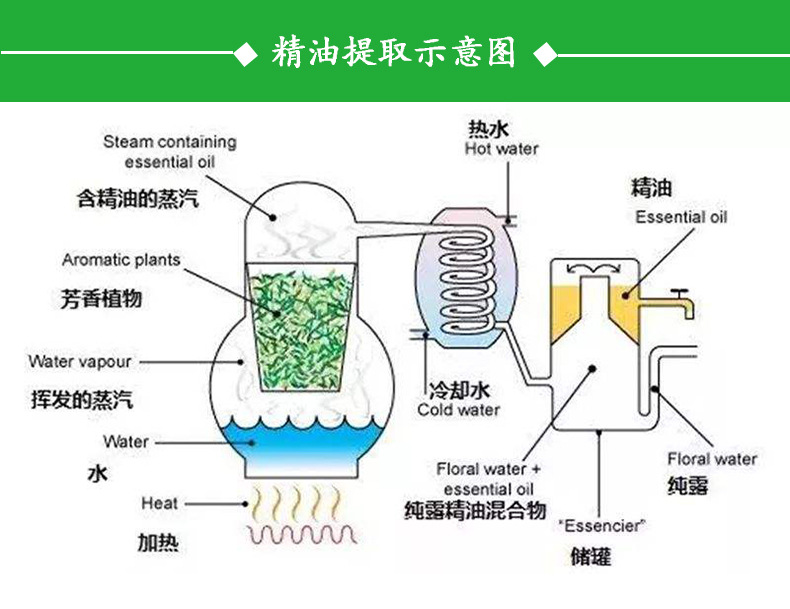 精油提取流程