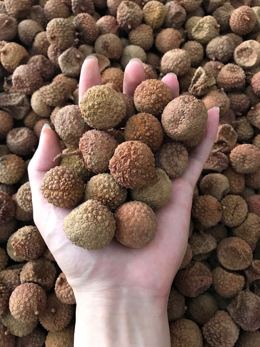 小荔枝干新货特级糯米糍厂家直销干5斤整箱核小肉厚泡茶袋装坚果