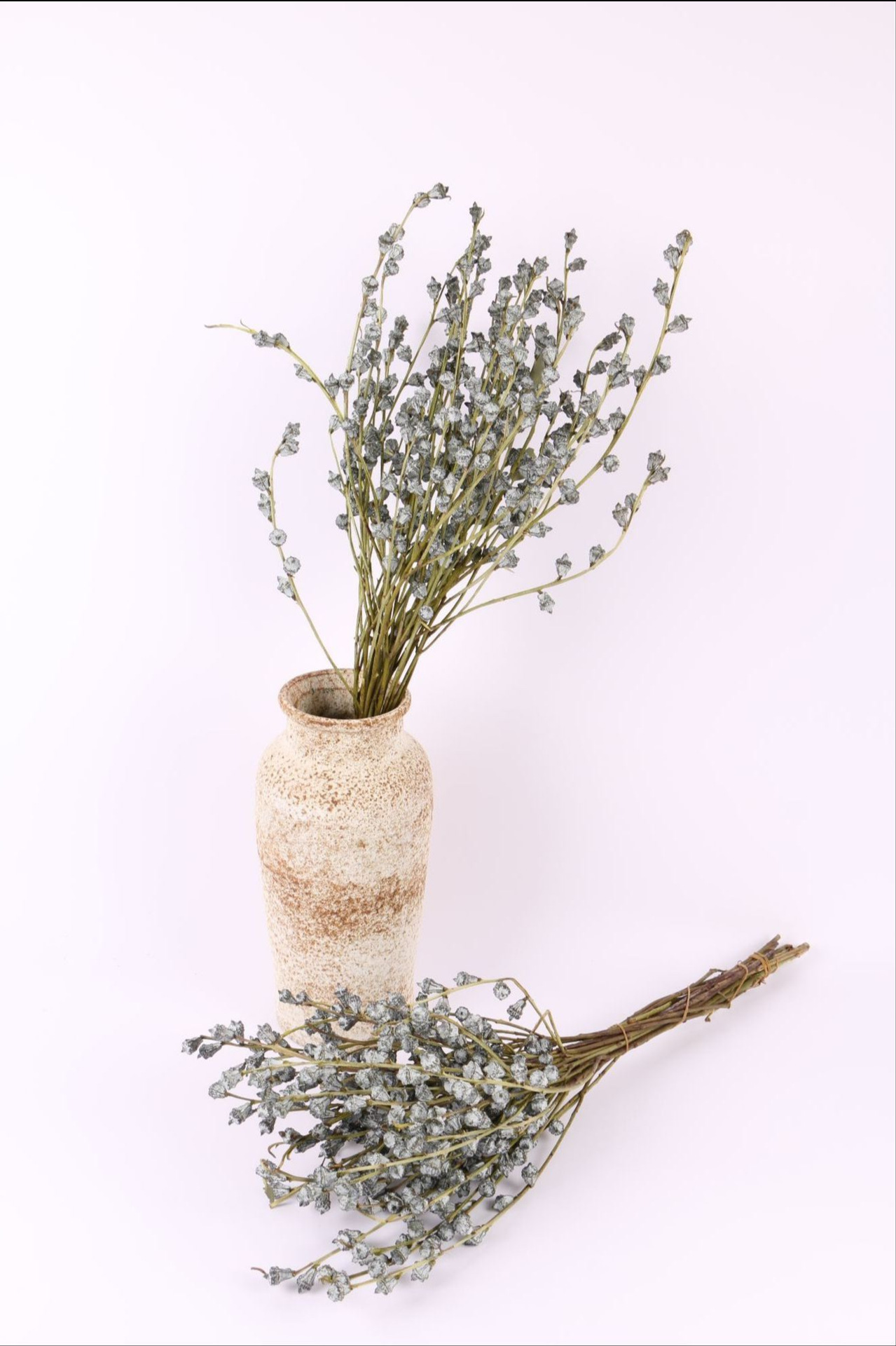 尤加利果蓝桉果插花花束现货diy日式复古森林系植物干花拍照道具