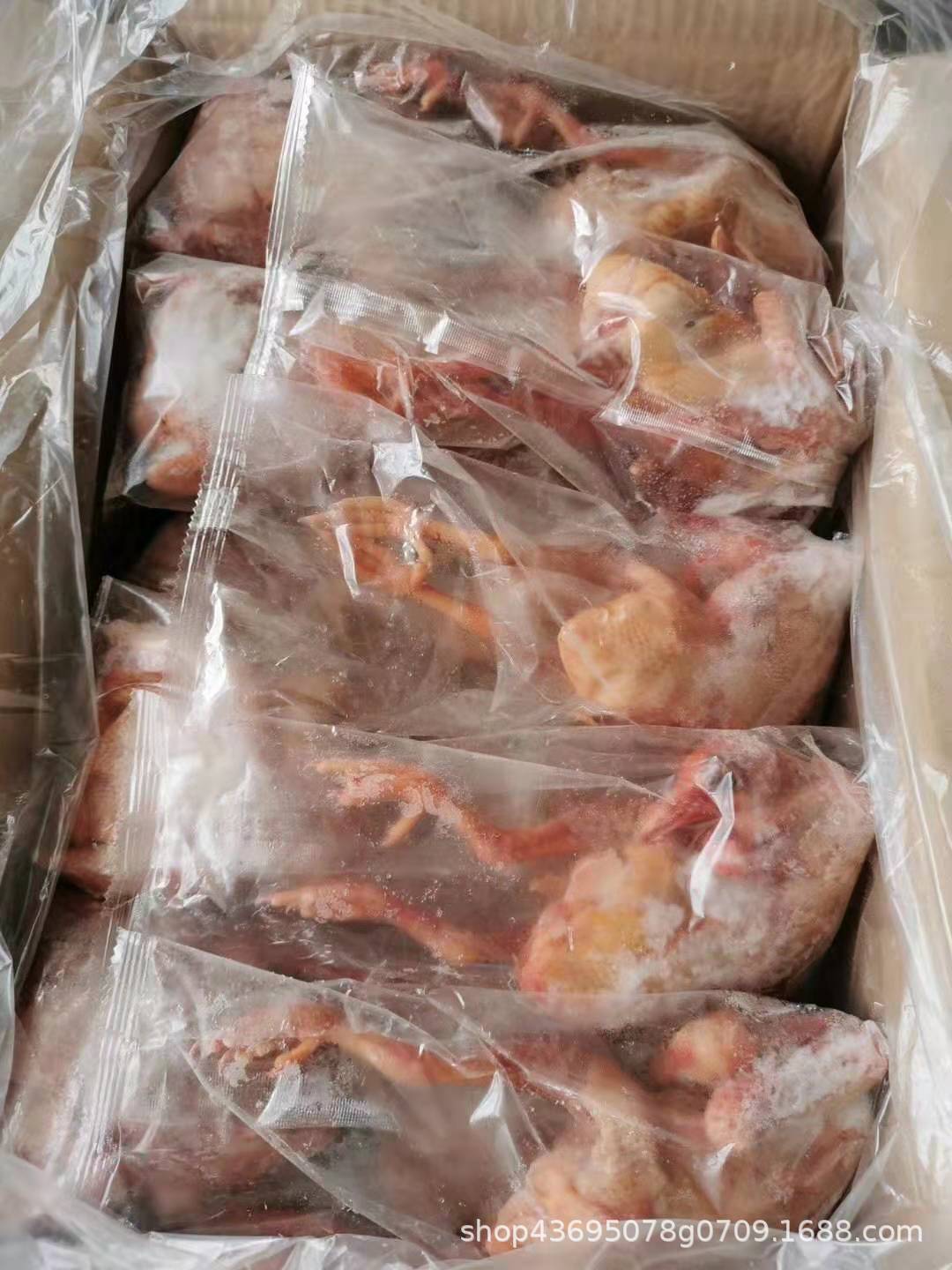 新鲜冷冻鸽子 脆皮乳鸽 土乳鸽子 鸽子鸽子汤 整箱20只5/6两
