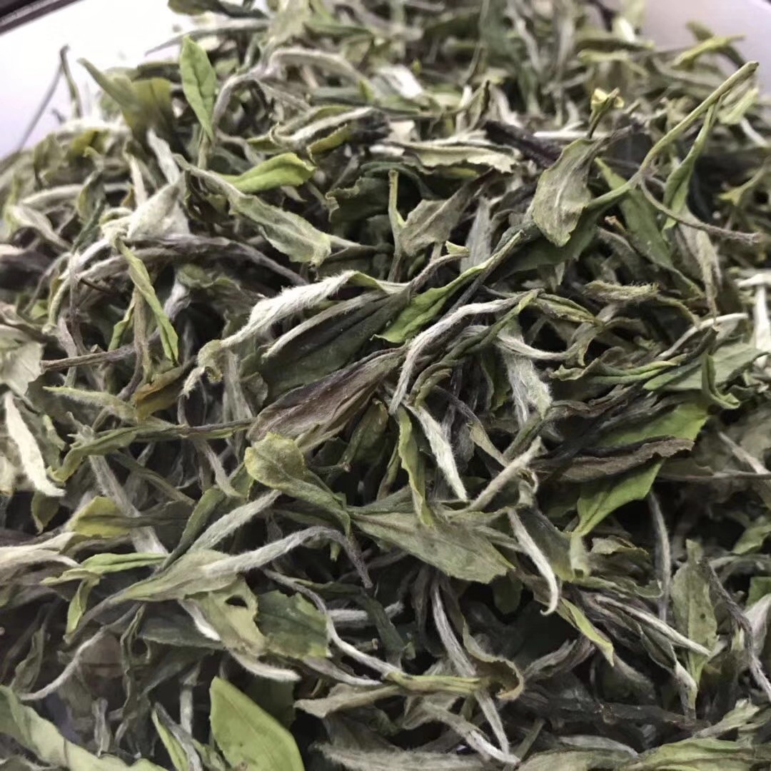 茶厂直发白牡丹福鼎新白茶福建白茶寿眉贡眉白毫银针水甜 批发