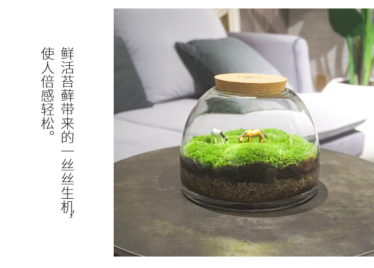 苔藓闷养盆玻璃容器花盆微景缸空瓶 微观植物生态瓶苔藓微景观瓶