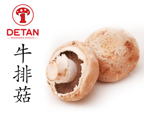 德添牛排菇褐菇早餐菇portebella