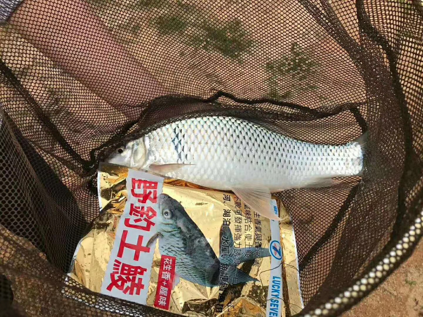 丸九诱鲮魂鲮鱼饵钓饵土鲮鱼饵大物土鲮鱼饵料大盗鲮大战鲮7#土鲮