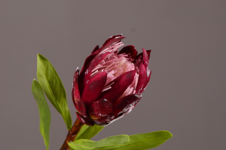 仿真帝王花高档欧式普罗霸王花装饰假花仿真花摆件样板房摄影道具