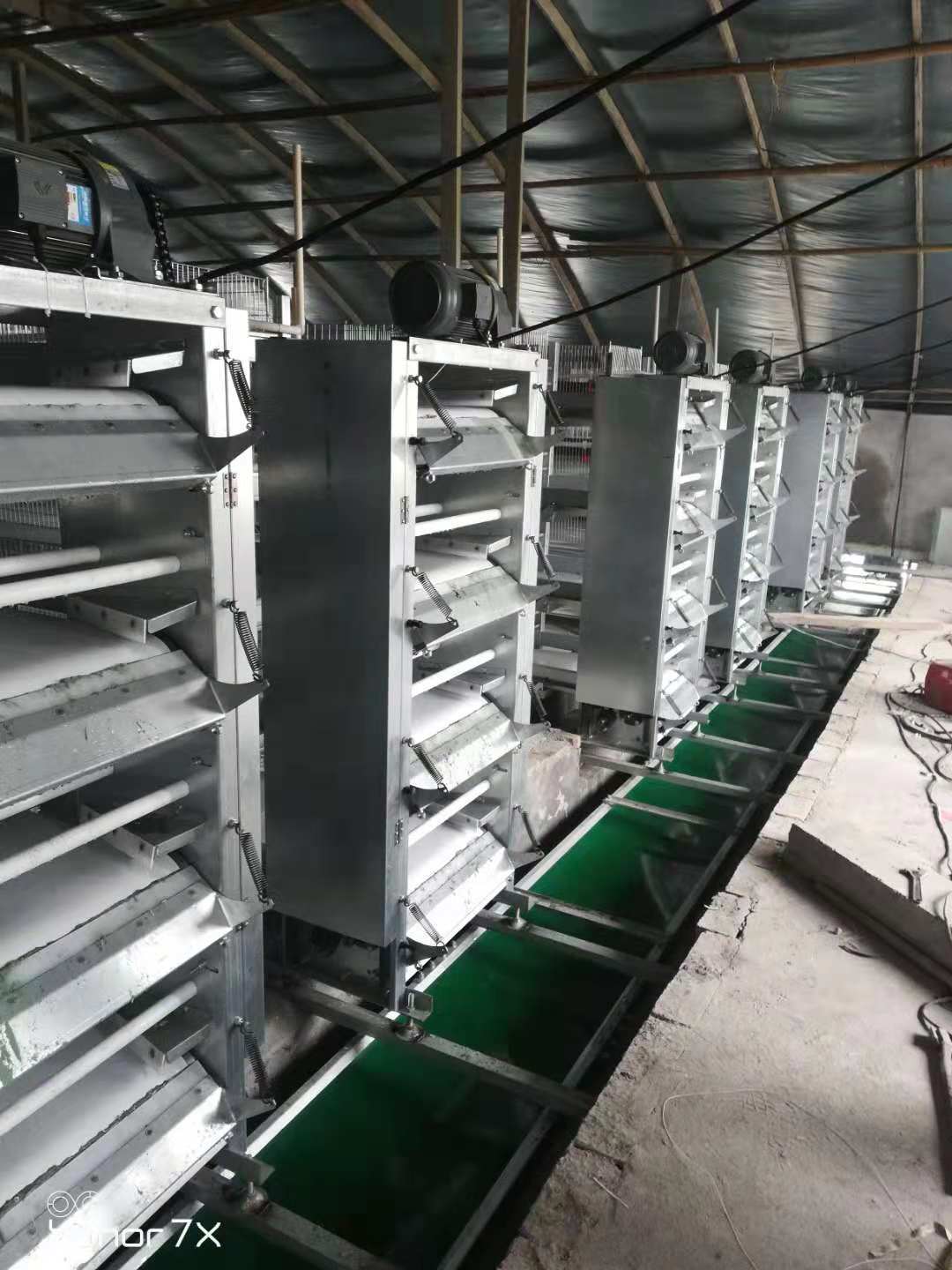 传输带清粪 带式清粪机 阶梯式出粪设备 横斜向出粪 银星畜牧设备