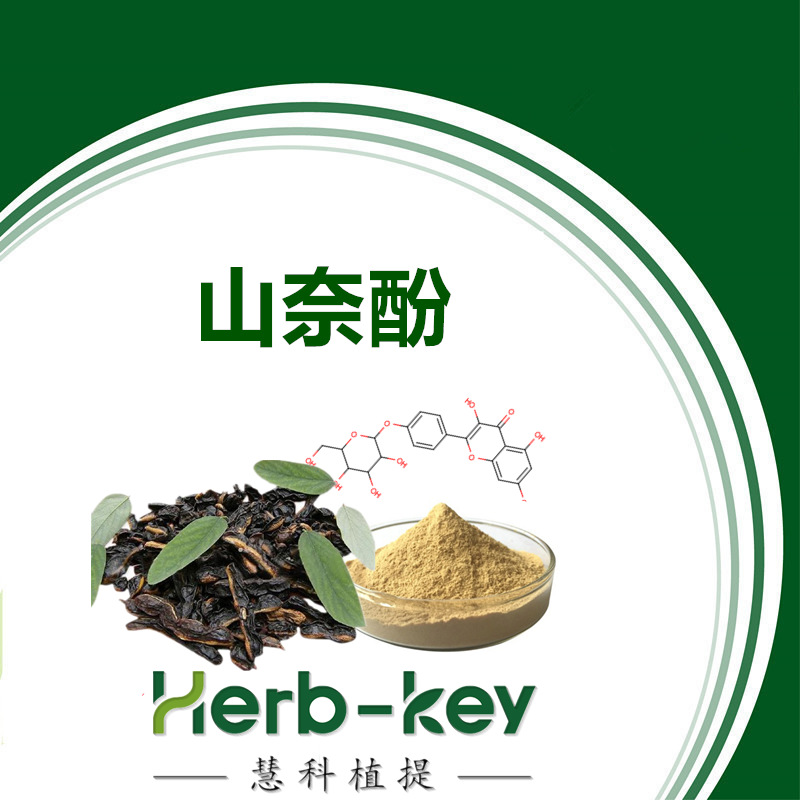 山奈酚10山奈素山奈黄酮醇陕西慧科提取物