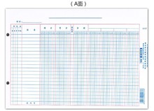 莱特16开账页1117十七栏式明细分类账活页账芯多栏式帐页财务用品