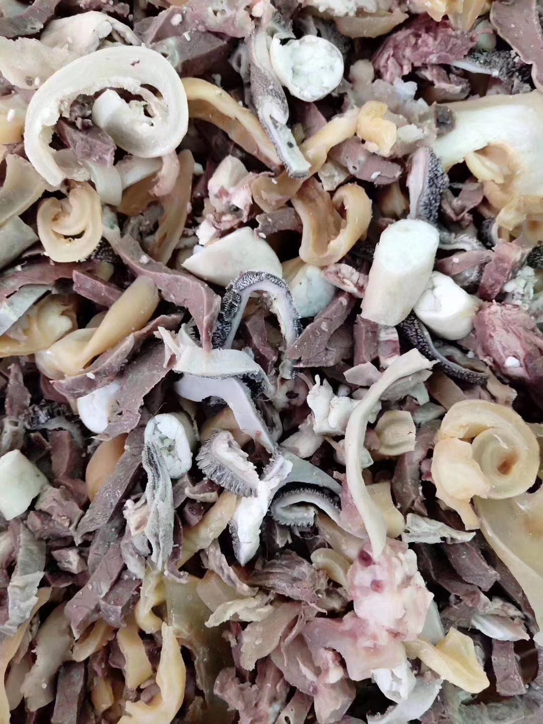 批发牛杂 牛肚牛肠散牛肺牛奶咂牛蛋皮 量大优惠冷链配送