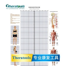 Theratools专业康复体姿评估图体态姿势评估工作室诊所专用版