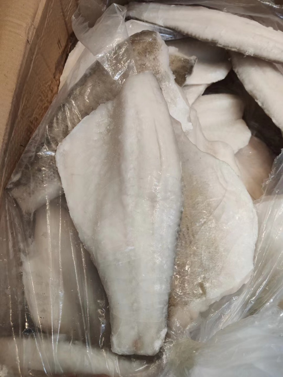 批发开背海鲈鱼酸菜鱼柳海鲈鱼火锅酒店水煮鱼食材海鲈鱼片中段