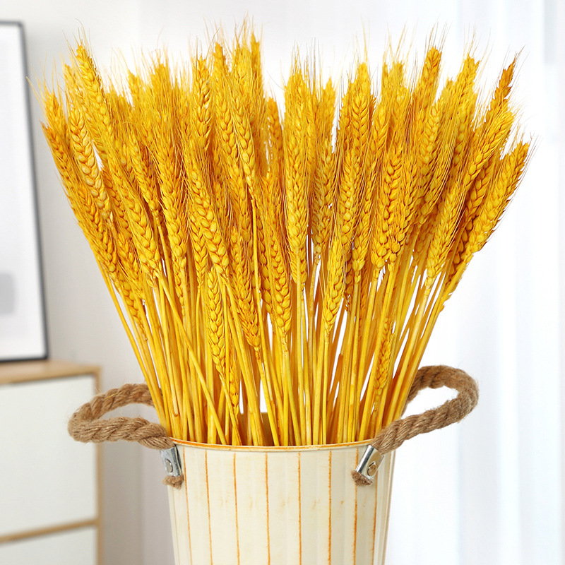 天然麦穗芦苇干花带花瓶家居摆件真花风干花束开业庆典装饰干插花