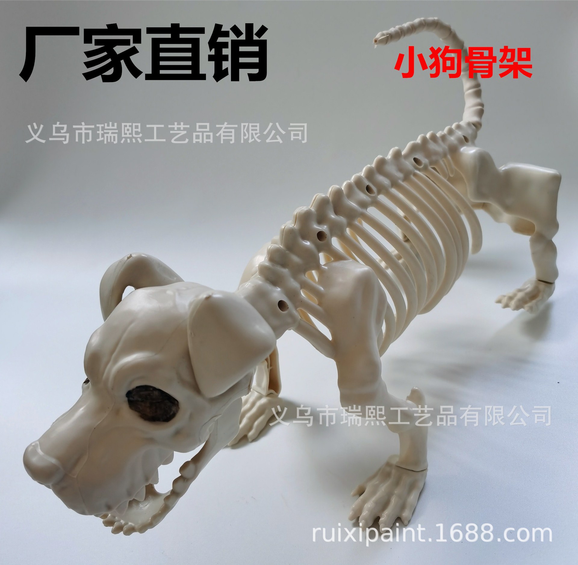 厂家直销万圣节大型狗骨骼 小狗骨架 骨架模型 动物教学演示模型