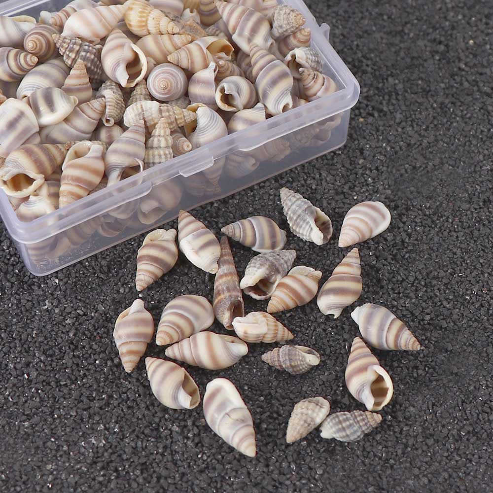 天然小海螺 花米螺贝壳装饰物40g/盒水族箱鱼缸装饰物diy手工配件
