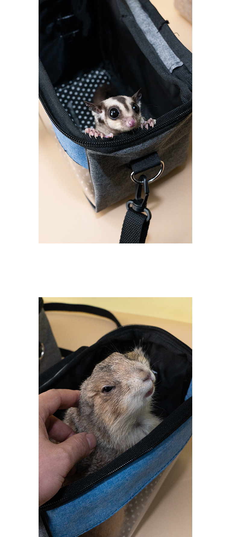 仓鼠外出包便携萌宠松鼠龙猫刺猬蜜袋鼯金丝熊外带包斜跨出门用品