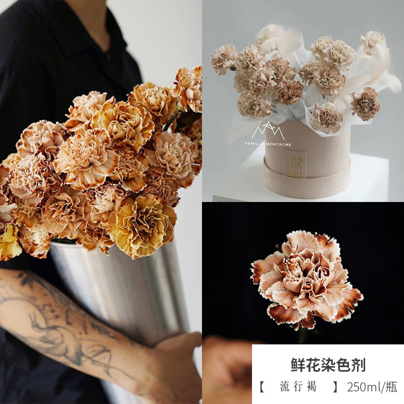 Flowers Stain Rose Starry Macaron Absorbent Dyed Flowers Flower Coloring Dyeing Culture Solution Material Dye