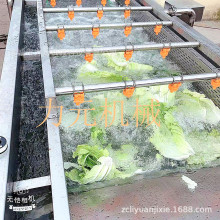 大型蔬菜清洗机 鼓泡冲浪洗菜机 水果蔬菜多功能加工清洗流水线