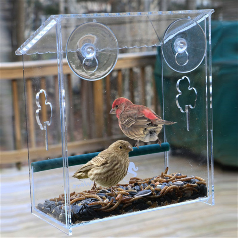 亚马逊爆款亚克力透明鸟笼玻璃吸盘小鸟休息喂食器户外观赏饲养盒