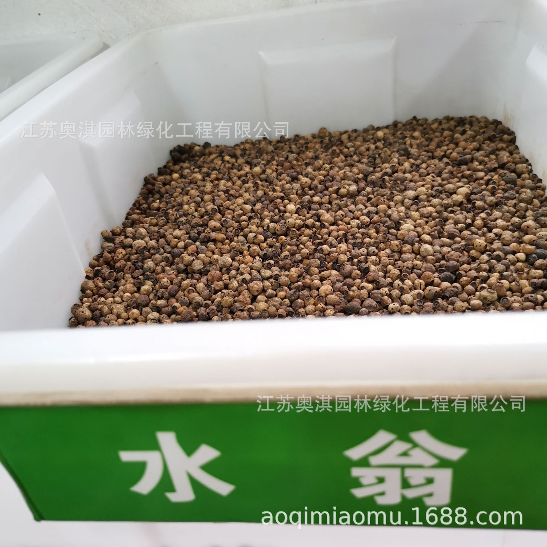 水翁花种子水雍花水香酒翁水翁水榕土槿皮种子量大优惠货到付款