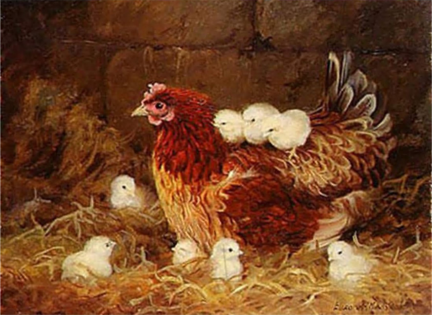 母鸡小鸡钻石画外贸批发diy钻石绣自己点钻工厂招代理