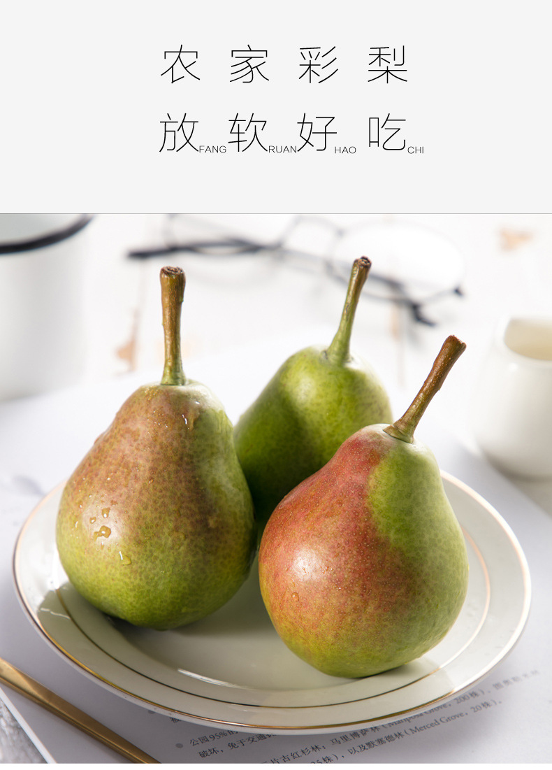 彩啤梨5斤包邮应季新鲜梨子当季整箱梨现摘青啤梨太