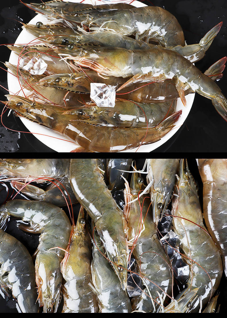 海捕大虾基围虾冻虾对虾鲜虾青虾活虾海鲜水产4斤包邮