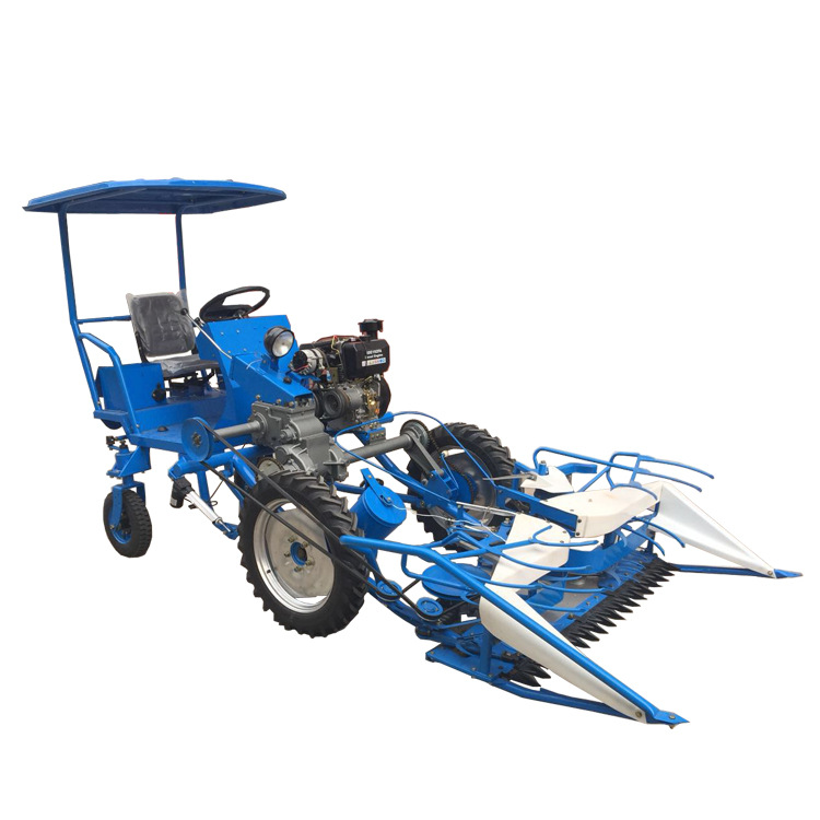 信阳大蒜剪胡机多功能大蒜去根剪秧机厂家直销省人工大蒜切苗机-报价