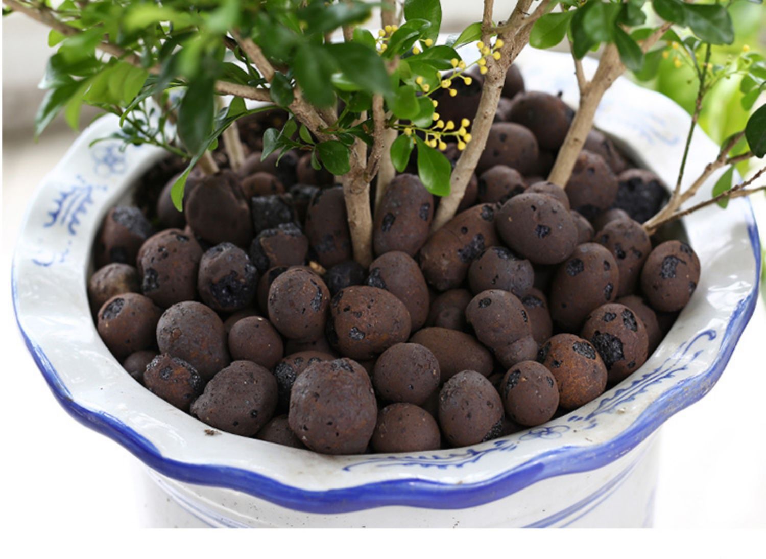 陶粒养花园艺陶土粒球花用多肉铺面盆栽垫底陶粒轻质透气水培包邮