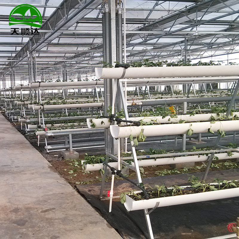山东厂家无土栽培设备多型号无土栽培设施水培基质培种植槽