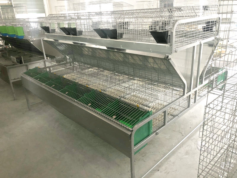 新型热镀锌自动双层兔笼 品字型免清粪兔子笼 繁殖母兔笼批发