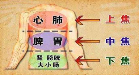 养生重视脏腑平衡 五脏六腑绝对是人体的硬件.