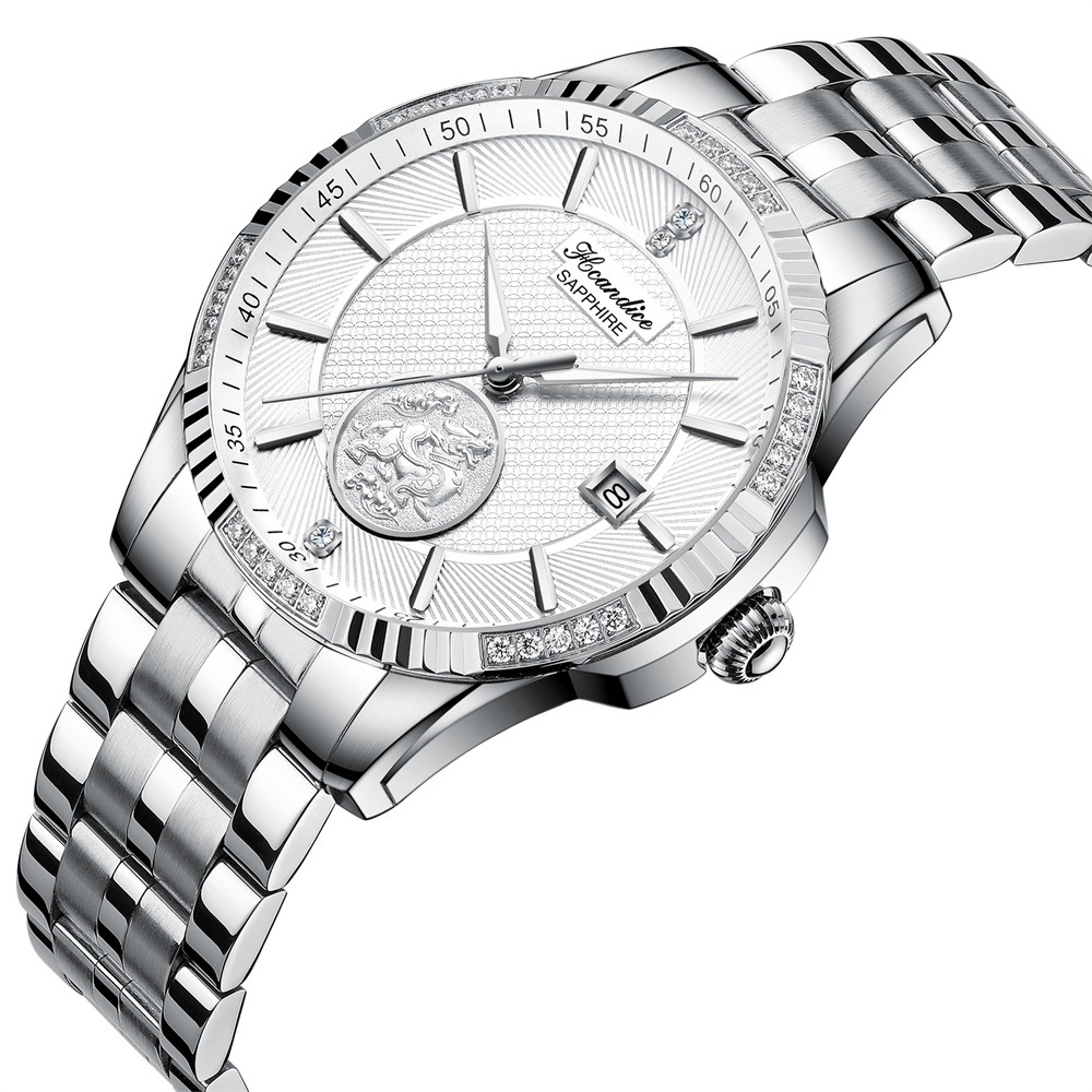 海帝斯盾正品经典复古招财貔貅全自动机械不锈钢男士手表h1609