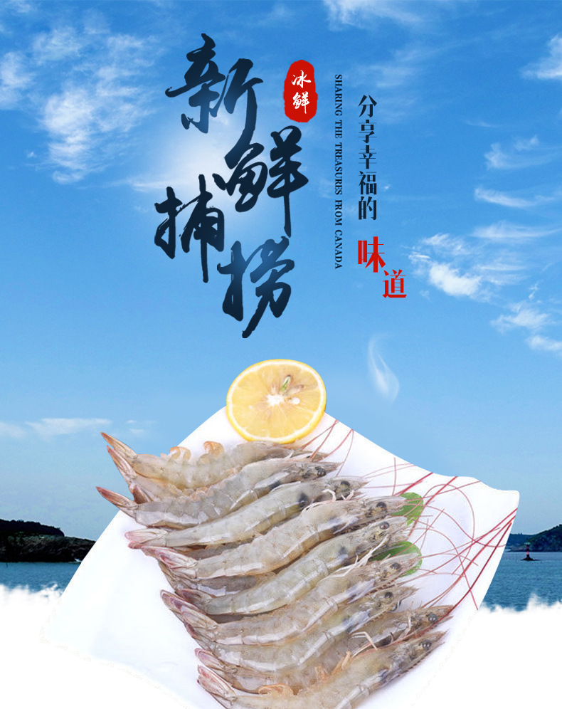 经销批发桑塔盐冻虾 厄瓜多尔虾 南美白对虾 量大咨询客服