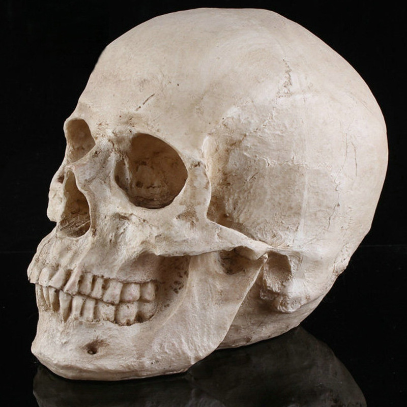 仿真骨头人-仿真骨头人厂家,品牌,图片,热帖-阿里巴巴