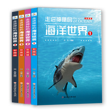 走进神秘的海洋世界彩图版全4册少儿科普百科全书儿童课外书籍